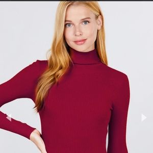 Viscose Nylon Long Sleeve Turtle Neck Wine Women's Top Sweater  Small